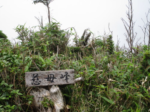a0345833_20402308.jpg