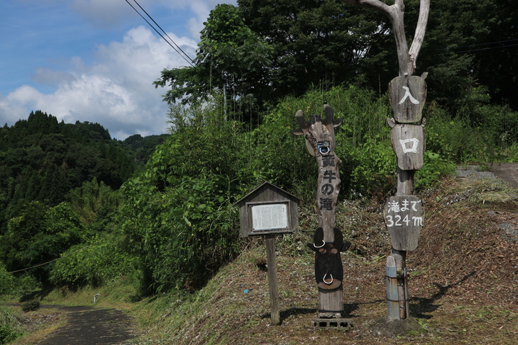 ヤマユリ（竹田市郊外）＆イワタバコ（黄牛の滝）！_e0272335_18584451.jpg