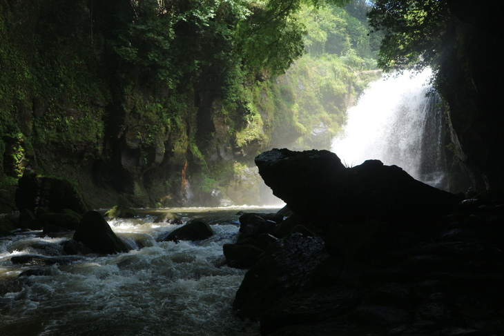 ヤマユリ（竹田市郊外）＆イワタバコ（黄牛の滝）！_e0272335_19223257.jpg