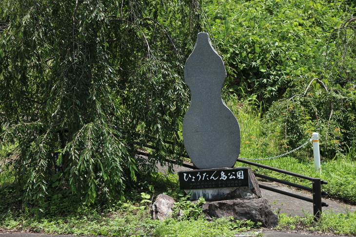 ヤマユリ（竹田市郊外）＆イワタバコ（黄牛の滝）！_e0272335_19292148.jpg