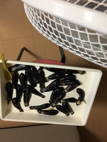 a0053036_17595997.jpeg