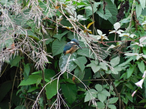 c0338136_10303115.jpg