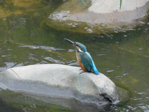 c0338136_10344029.jpg