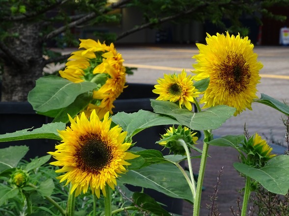 b0299042_15321074.jpg