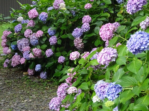 b0299042_16111180.jpg