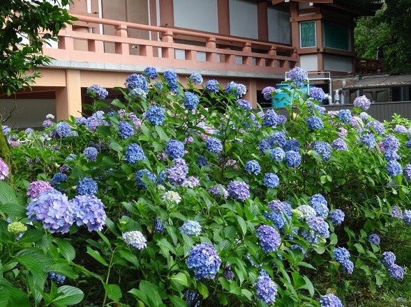 b0299042_16113628.jpg