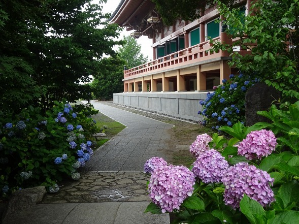 b0299042_16115767.jpg