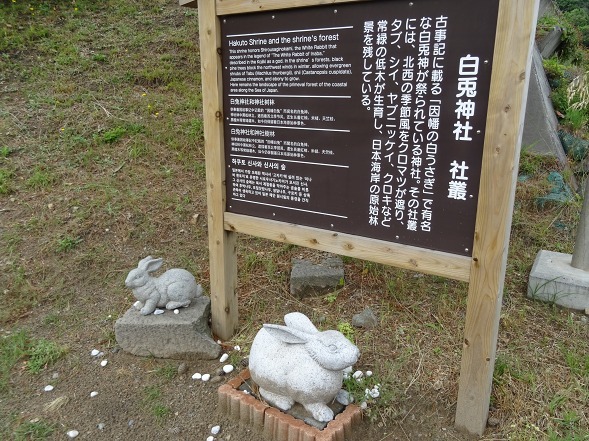 b0299042_17162772.jpg