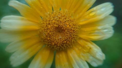 f0326946_00552875.jpg