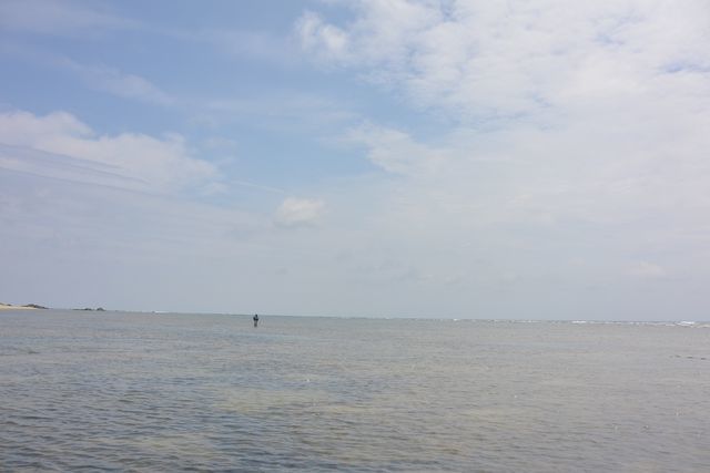 d0247247_22230901.jpg