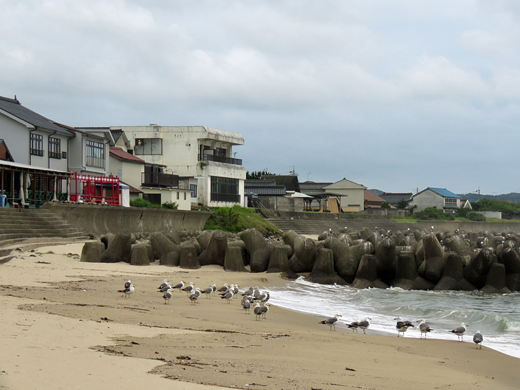 f0214649_00225901.jpg