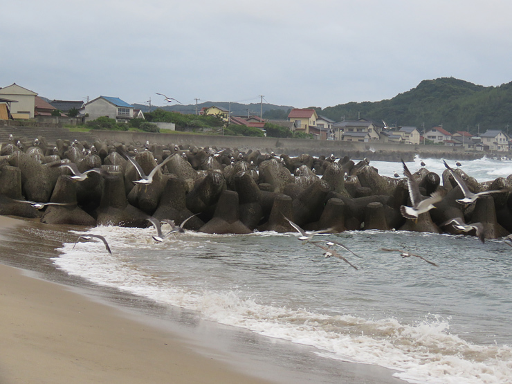f0214649_00231241.jpg