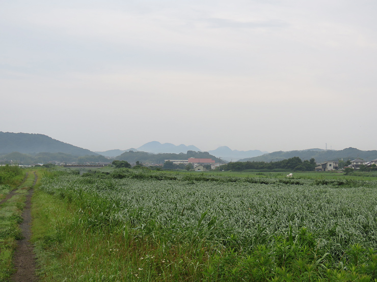 f0214649_00412112.jpg