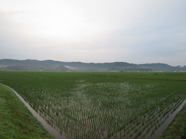 f0214649_00412988.jpg