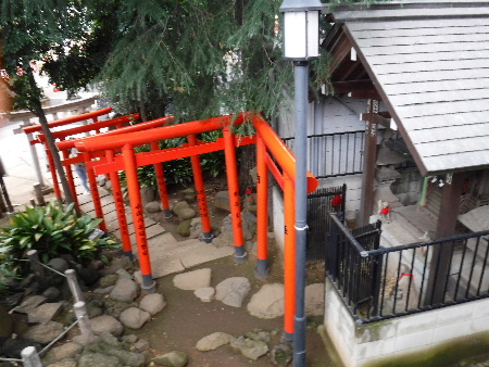 ロードバイク購入のつき合い_e0172950_206628.jpg