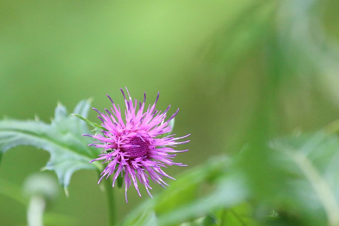 e0403850_14054067.jpg