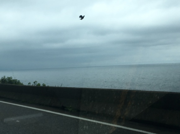 c0254151_14060009.jpeg