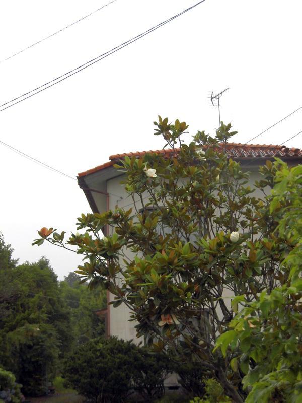 e0024554_23205180.jpg