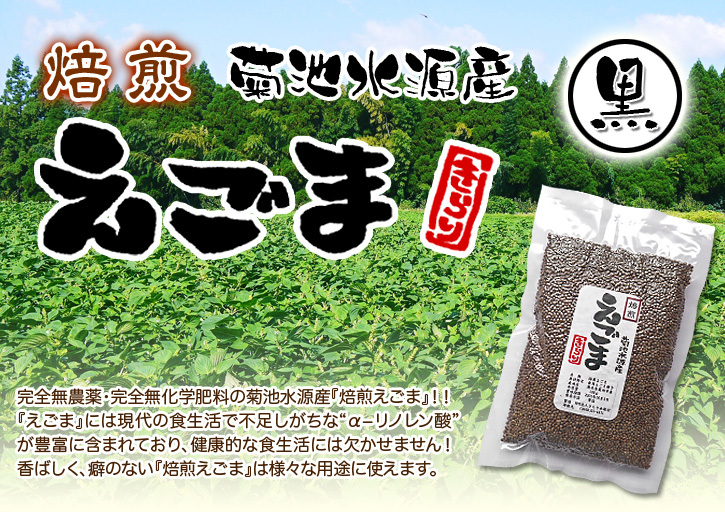 菊池水源産『焙煎えごま粒』好評発売中!令和元年の黒えごま粒播種しました!!_a0254656_18151553.jpg