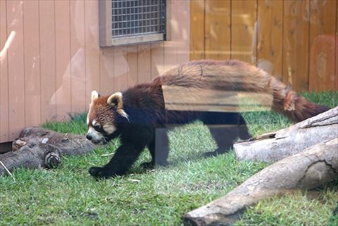 b0338756_19303201.jpg