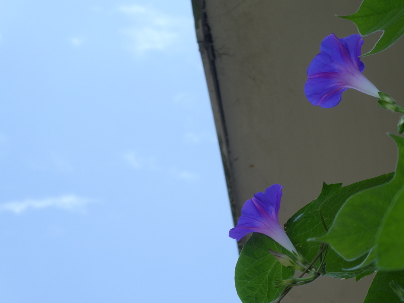 c0108460_17502791.jpg