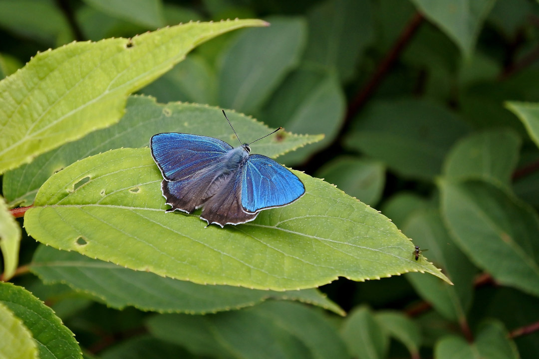 d0387460_01503849.jpg