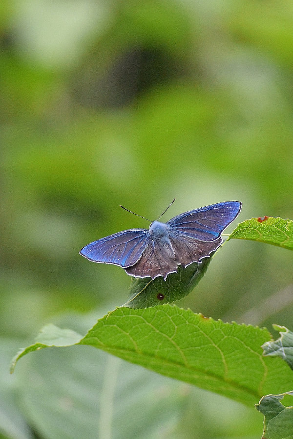 d0387460_01504553.jpg