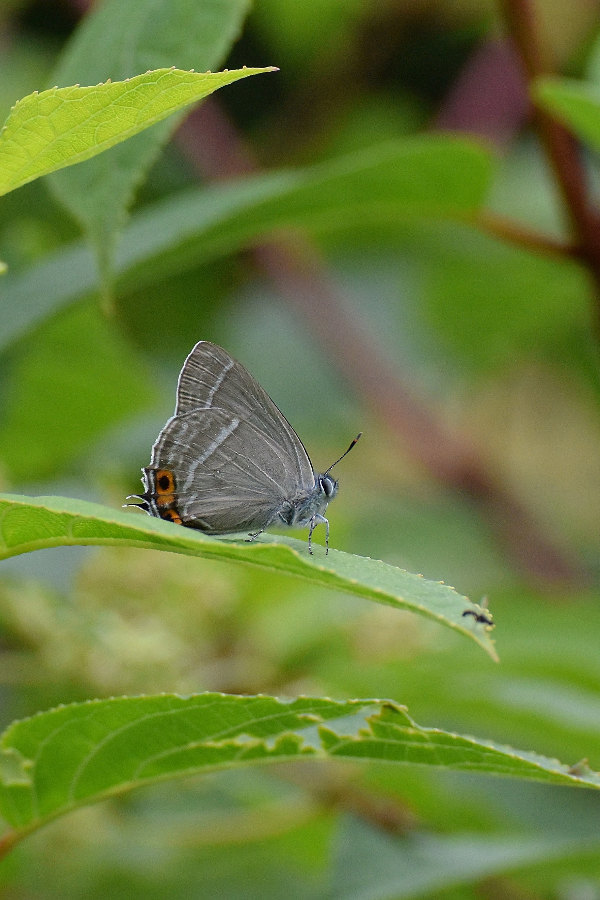 d0387460_01505285.jpg