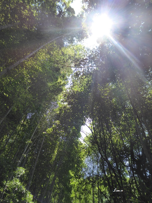 c0222861_21354173.jpg
