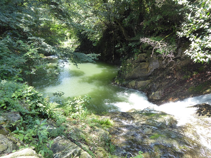 c0222861_21361489.jpg