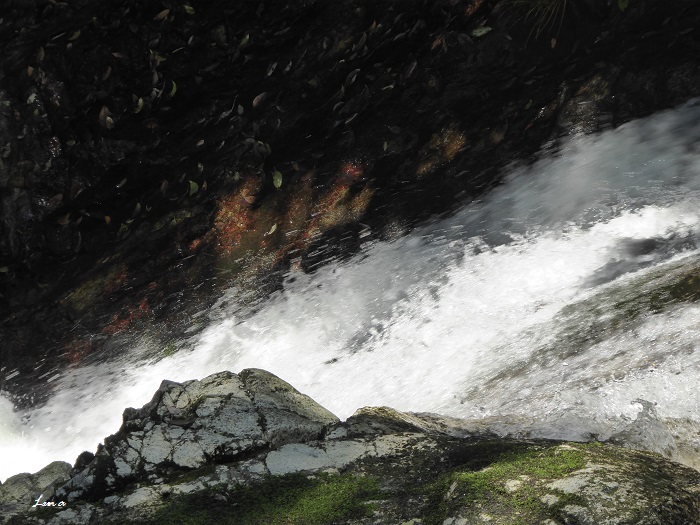 c0222861_213633100.jpg