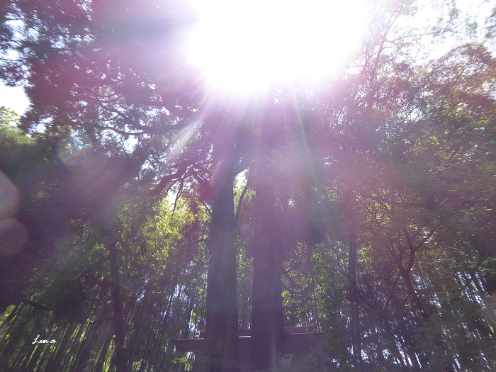 c0222861_21375288.jpg