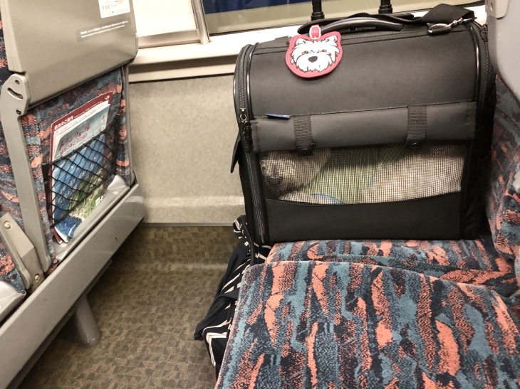 f0363961_16031768.jpeg