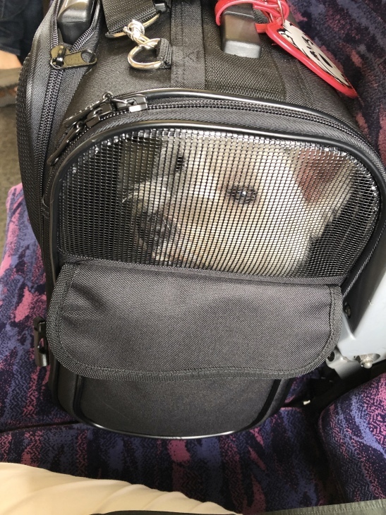 f0363961_16033723.jpeg