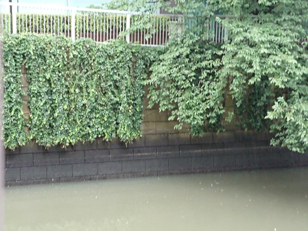 c0100865_07045620.jpg