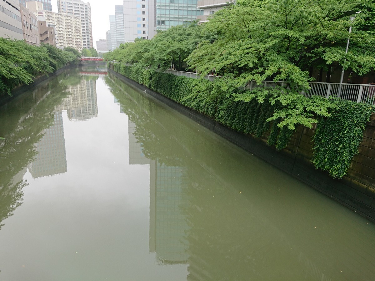 c0100865_07045628.jpg
