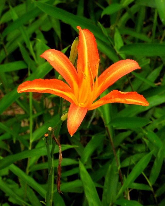 c0305565_17280390.jpg