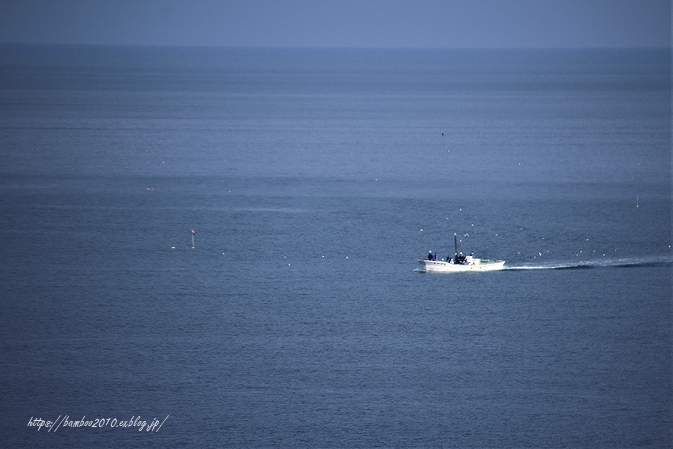 海の日に想う_a0157968_17203719.jpg