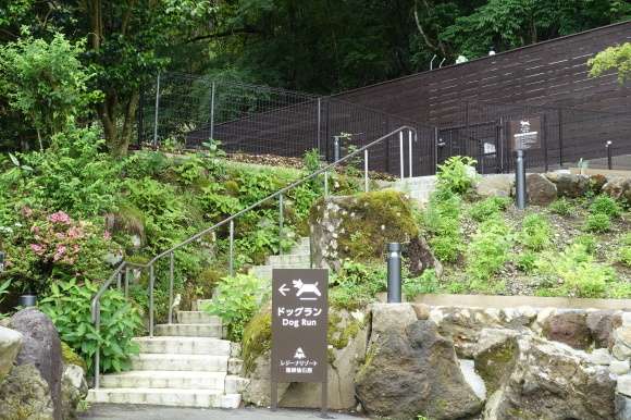 c0357573_15433554.jpg
