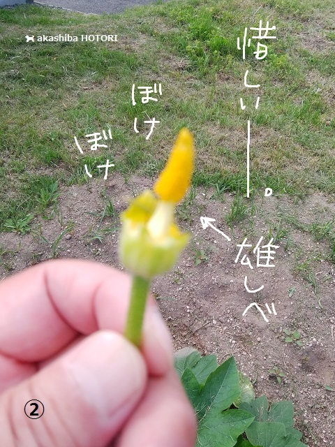 f0150377_10362449.jpg