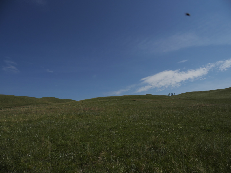 b0368380_23293164.jpg