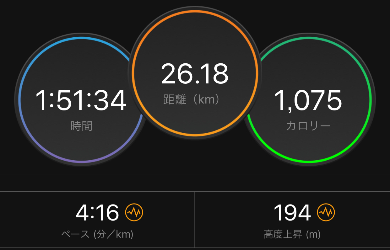 ロングジョグの予定だったけど〜_f0310282_17560841.jpeg