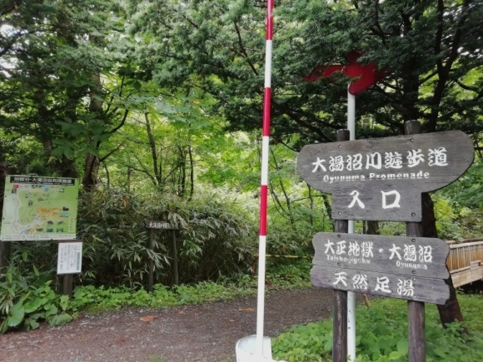 c0212083_17412337.jpg