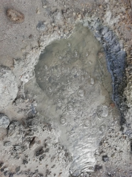 c0212083_17482924.jpg
