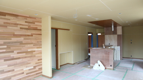 府川の家~木工事_f0341886_17052813.jpg