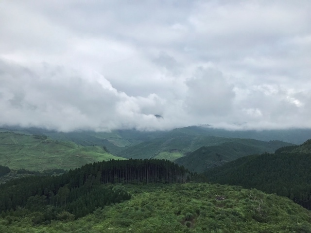 c0184491_10040377.jpg