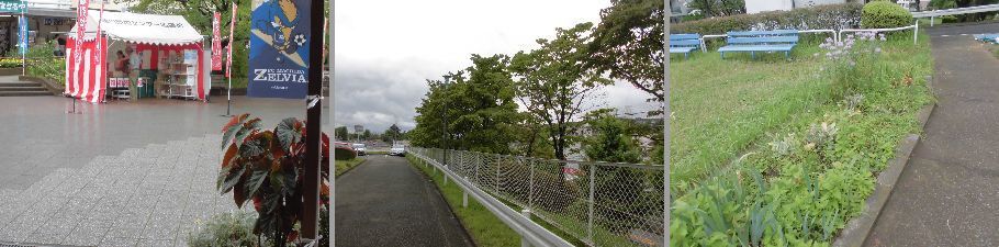 b0159896_05355675.jpg
