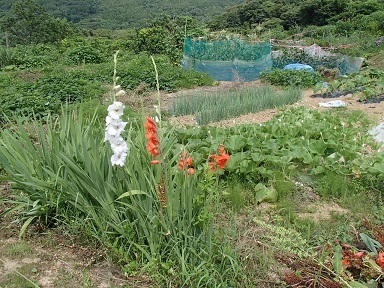 c0187298_20221969.jpg