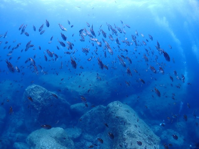 e0115199_18082112.jpg