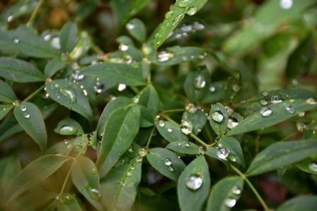 f0361605_21264520.jpg